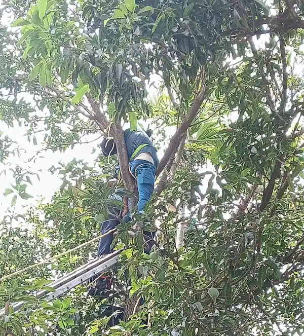 पुणे में उधवा के मजदुर की मौत
